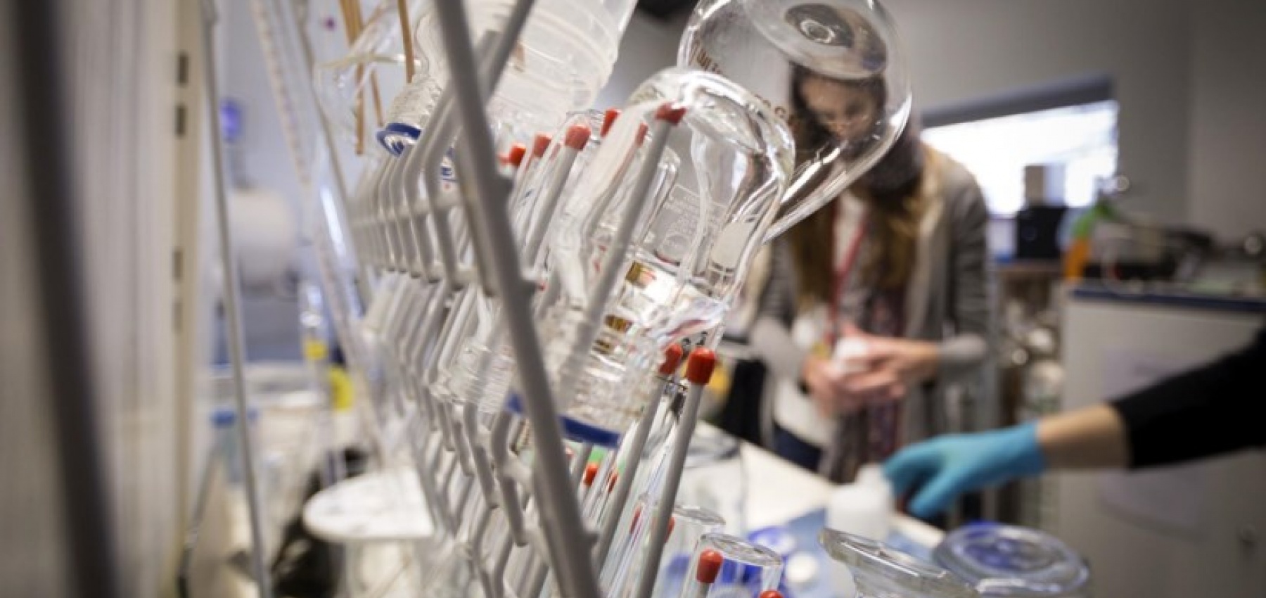 Concretização de medidas relativas ao Emprego Científico