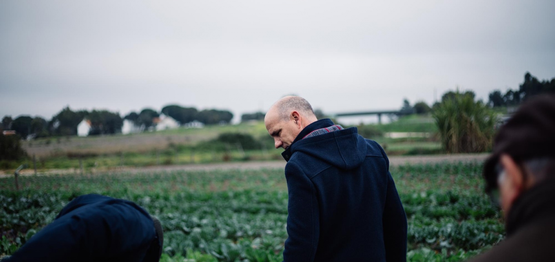 Visita a exploração agrícola