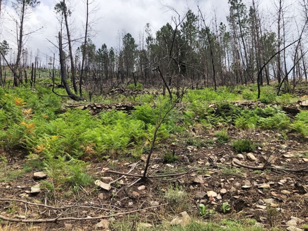 Jornadas Parlamentares do PCP na Serra da Estrela