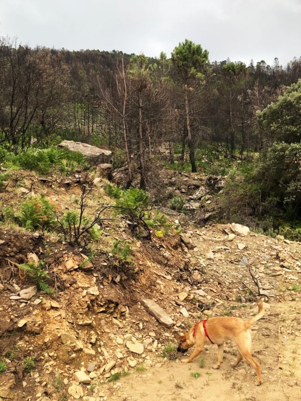 Jornadas Parlamentares do PCP na Serra da Estrela