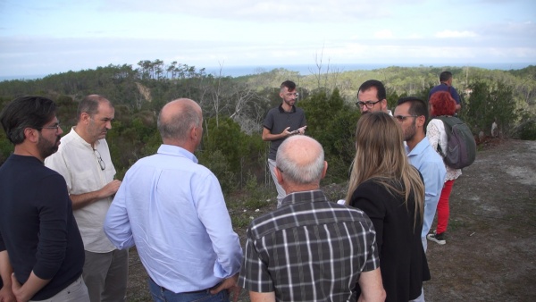Visita ao Pinhal de Leiria