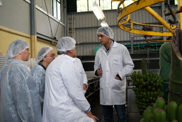 GESBA – Empresa de Gestão do Sector da Banana, Funchal